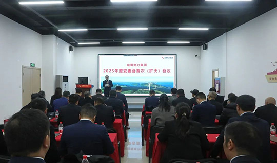 集團(tuán)召開(kāi)2025年度安委會(huì)首次（擴(kuò)大）會(huì)議